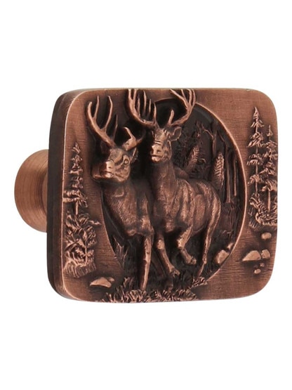Bucks on the Run Cabinet Knob in Antique Copper.